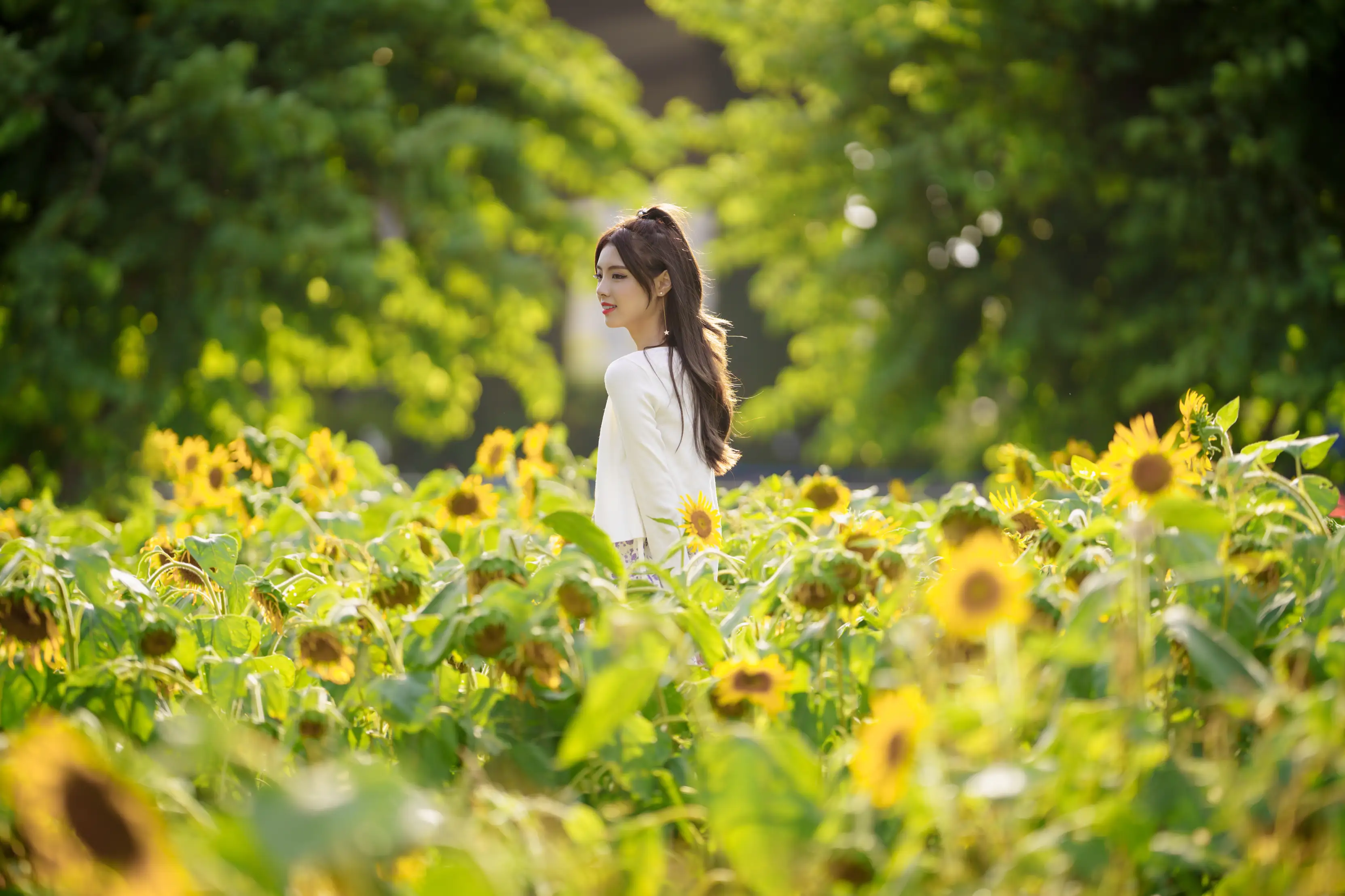 [YITUYU] 2021.12.30 Vol.554 – Sea of Sunflowers Teng Jing#[31P]-13